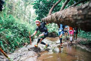 BIB: 
                            <button type="button" onclick="openModal(25374611)" class="btn btn-primary btn-sm float-right btn-popup" data-toggle="modal" data-target=".modal-high-quality">
                        <i class="fas fa-shopping-cart"></i> Add to Cart
                    </button>
                                            <button type="button" onclick="isThisMe(25374611, true)" class="btn btn-success btn-sm float-right btn-popup btn-isme hidden" data-toggle="tooltip" data-placement="bottom" title="นี่คือรูปของคุณใช่ไหม คลิกที่นี่เพื่อเอาเข้าอัลบั้ม">
                        <i class="fas fa-plus"></i> Add to album
                    </button>
                    <button type="button" onclick="isThisMe(25374611, false)" class="btn btn-warning btn-sm float-right btn-popup btn-isnotme hidden">
                        <i class="fas fa-ban"></i> Remove from album
                    </button>